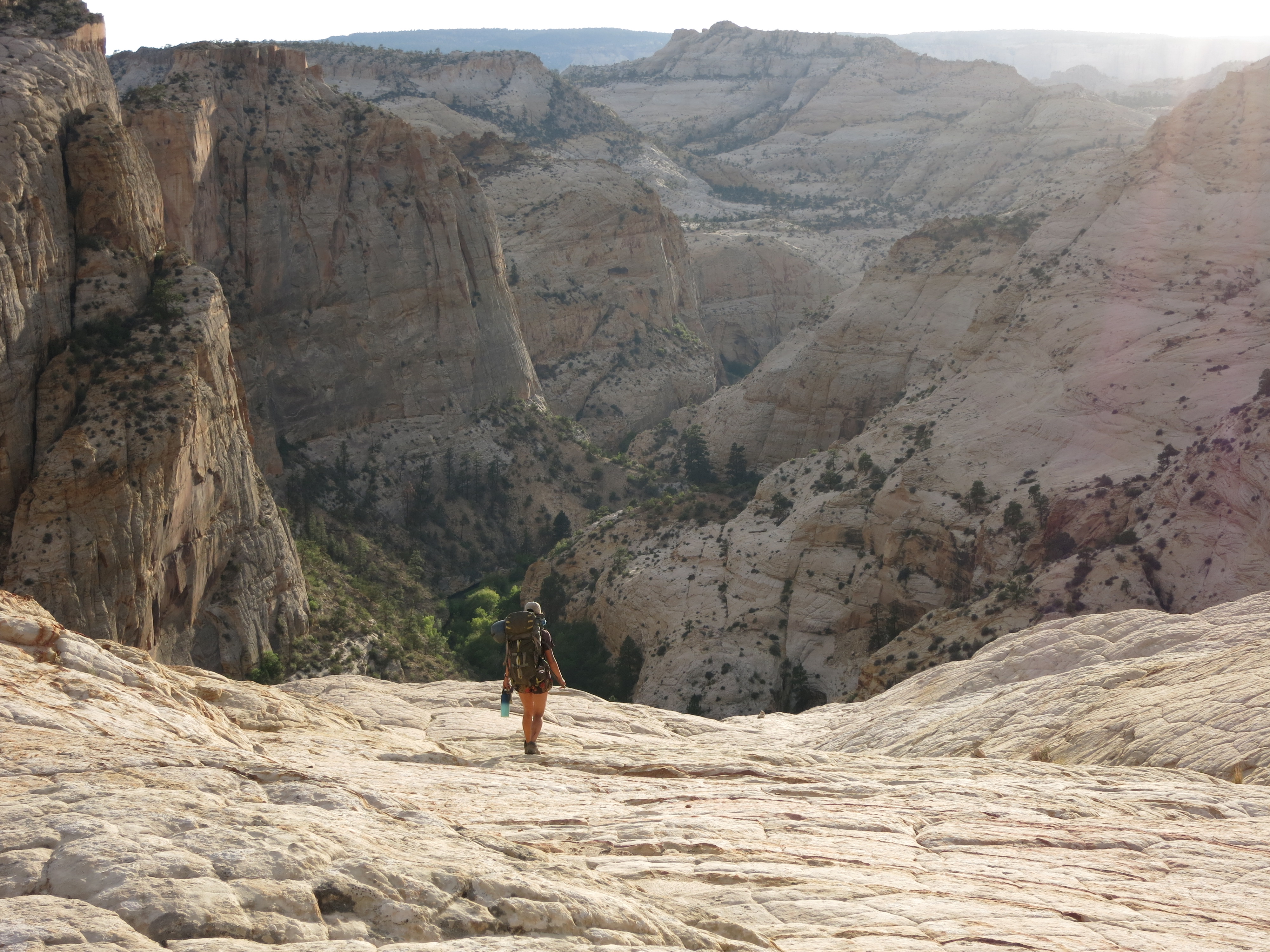 Cottonwood Gulch Expeditions