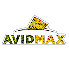 AvidMax Marketing Director